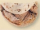 {%item.properties.thumbnail.image.alt%}